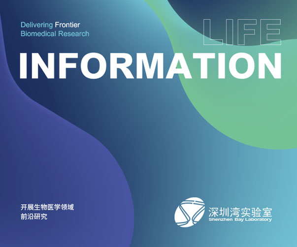 天然楊梅干包裝設(shè)計(jì),精美的包裝讓你愛不釋手