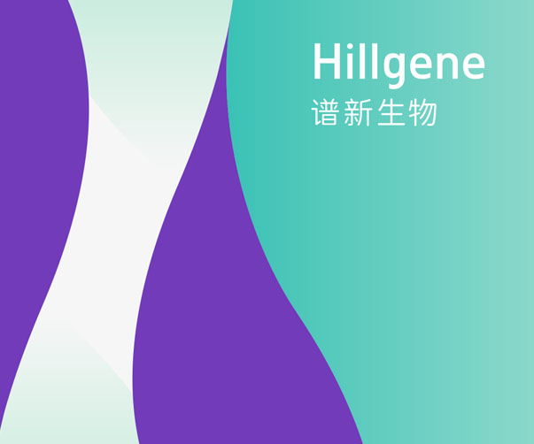 個(gè)性化定制，打造獨(dú)一無二的零食包裝盒